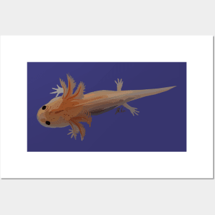 Axolotl Posters and Art